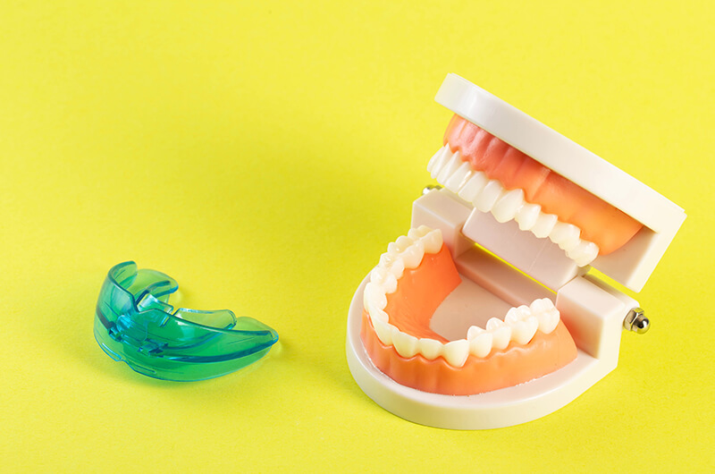 歯の模型と矯正装置