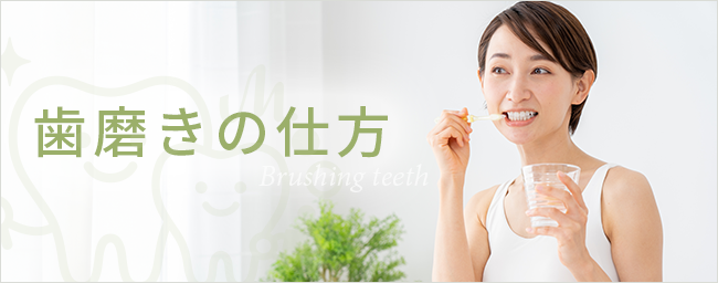 歯磨きの仕方